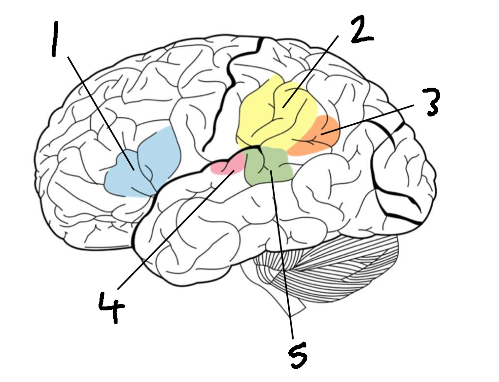 <p>What is 4?</p>