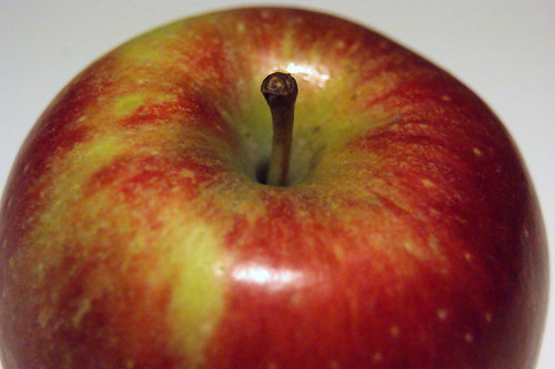 medium-large, with skin that is not waxy. There is a red-brown blush throughout the exterior with green flesh stain, DOTS, and a red, pink, to yellowish skin color.