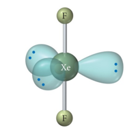 <p>Geometry Name: Linear</p><ul><li><p>Bonding Domains: </p></li><li><p>Electron Pair Geometry:</p></li><li><p>Bond Angle:</p></li><li><p># of Bonding Directions:</p></li><li><p># of Lone Pairs:</p></li></ul><p></p>