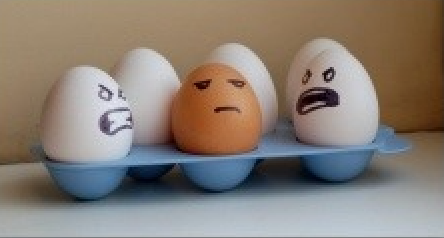<p>prejudice</p>