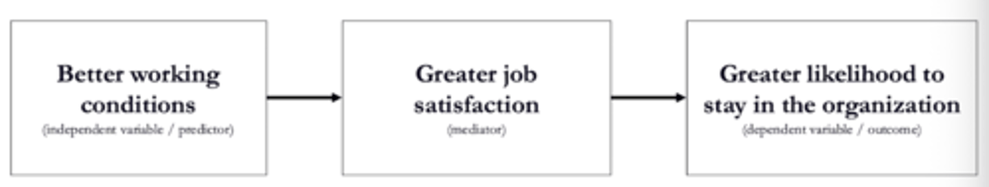 <p class="ds-markdown-paragraph"><strong><span>why</span></strong><span><span> one thing causes another.</span></span></p><ul><li><p class="ds-markdown-paragraph"><strong><span>Example:</span></strong><span><span> High workload (</span></span><strong><span>predictor</span></strong><span><span>) → causes </span></span><strong><span>stress (mediator)</span></strong><span><span> → which leads to burnout (</span></span><strong><span>outcome</span></strong><span><span>).</span></span></p></li></ul><p></p>