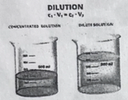 <p>diluted (masc, fem)</p>