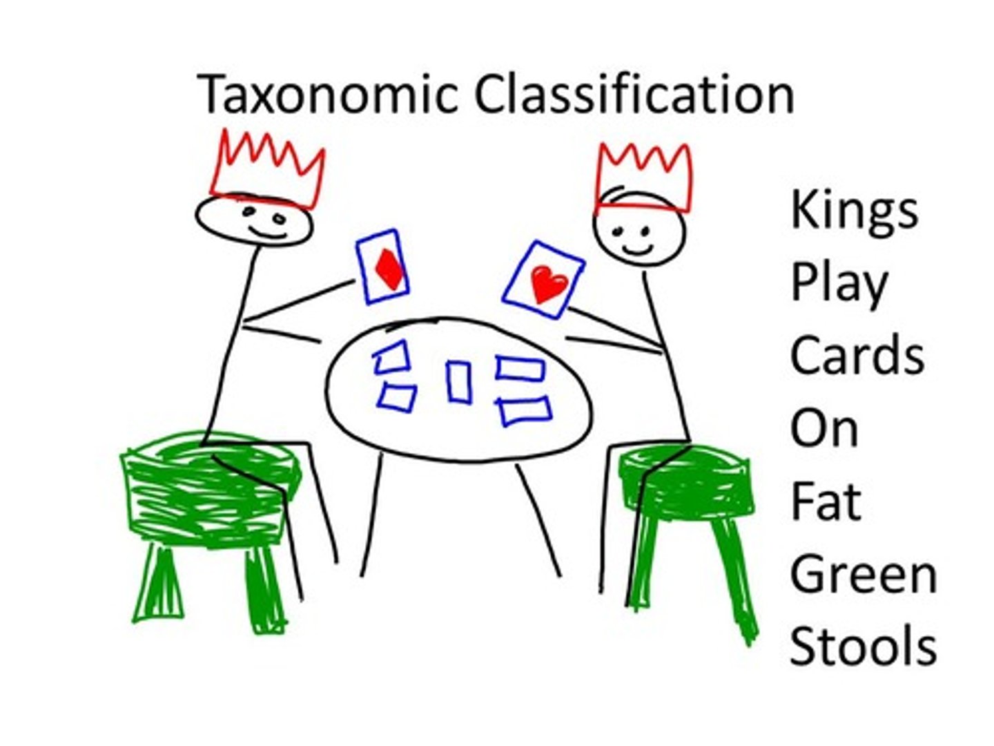 <p>One strategy for remembering classification levels from least to most specific: Domain, Kingdom, Phylum, Class, Order, Family, Genus, Species: Domain, Kingdom, Phylum, Class, Order, Family, Genus, Species.</p>