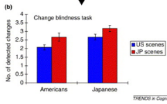 <p>used a ‘change blindness task’ —> shows a picture flickering + participants must determine what changed in the photo from one flicker to another</p><ul><li><p>found Japanese participants were more likely to detect change in the background, as they attend more to contextual info</p></li><li><p>both Japanese + American participants who viewed Japanese city scenes were more able to detect changes —> implies the layout of Japanese cities helped participants attend to more contextual info</p></li></ul><p></p>