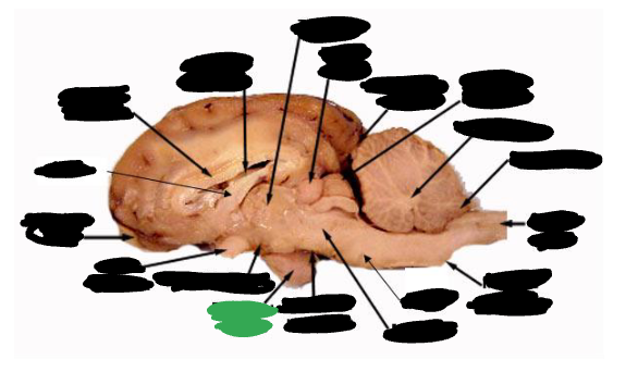 <p></p>