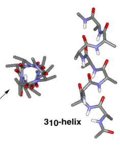 <p>3<sub>10 </sub>helix</p>