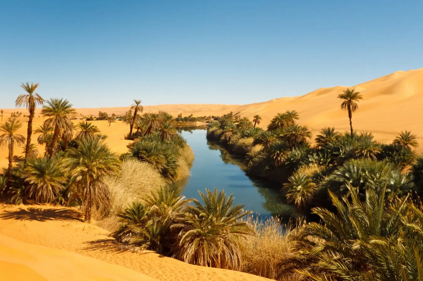 <p>a fertile spot of land in a desert where water is found</p>