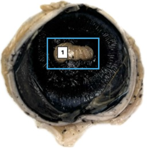 <p>What is this highlighted figure?</p>