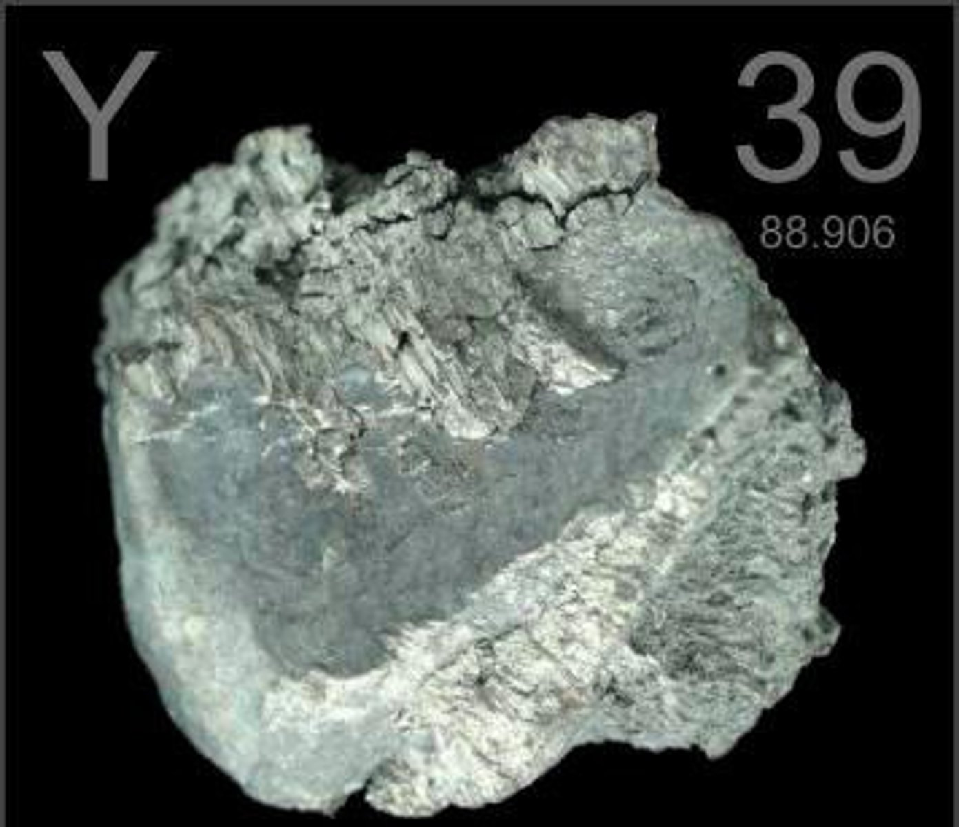 <p>Y</p>