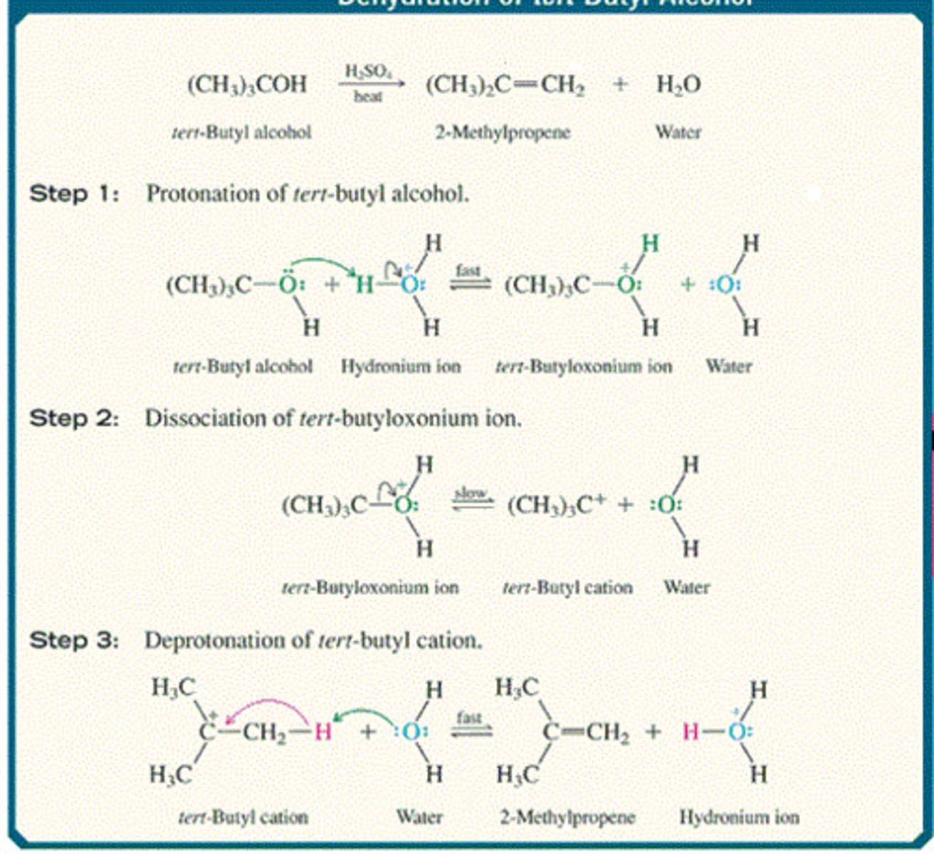 <p>Forms alkenes</p><p>the more substituted the alchol, the easier it is to dehydrate</p><p>dehydration of 1º and 2º alcohols is often accompanied by rearrangement</p><p>occurs via an E1 mechanism (i.e., carbocations are formed)</p><p>the most stable product predominates</p>