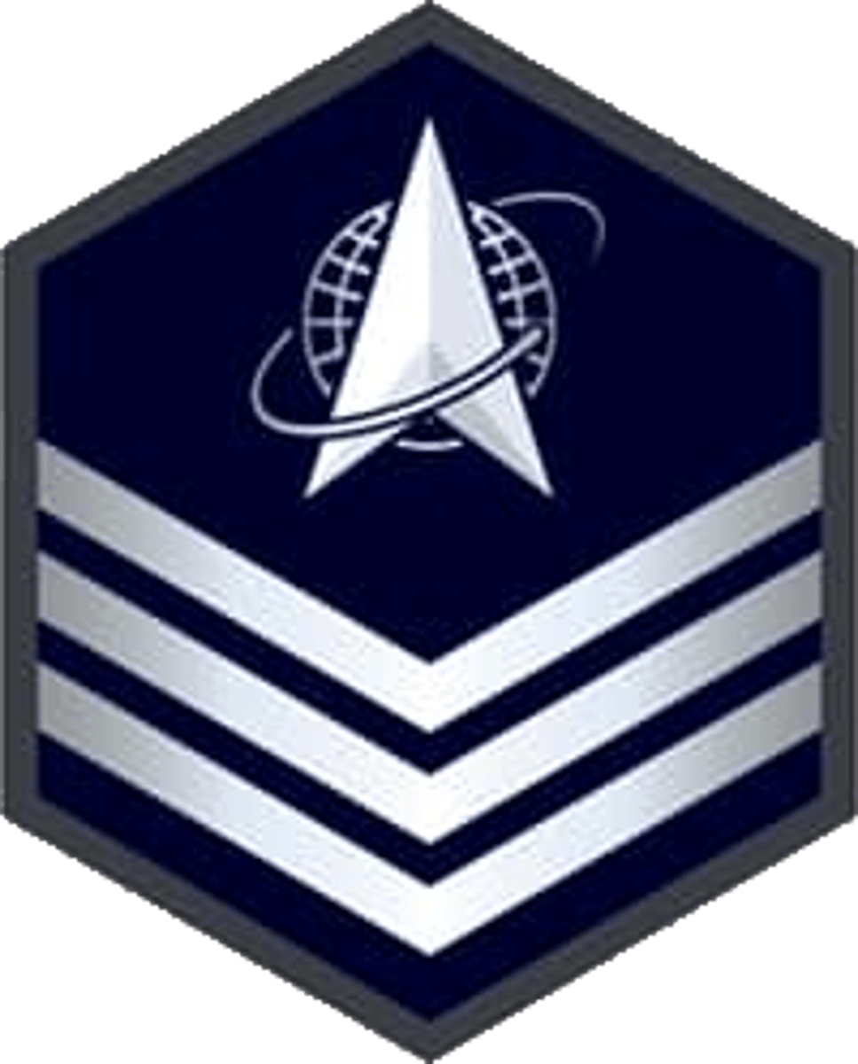 <p>non commissioned officer </p>