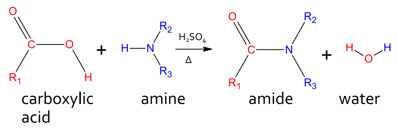 <p>catalyst: H<sub>2</sub>SO<sub>4</sub> and heat</p><p>product: amide and water</p>