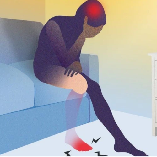 <p>identifies type (modality) of stimulus and body location of receptor</p><p>A labeled line is a specific sensory pathway whose activation signals a particular stimulus modality and the exact body location of the receptor to the brain.</p>