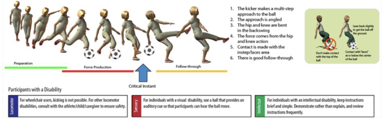 <ul><li><p><strong>Preparation: </strong>Running up in the proper position towards the ball, positioning leg backwards and preparing for the swing</p></li><li><p><strong>Force Production: </strong>The movement that occurs after the leg is positioned backwards, wherein force is created through swinging the kicking leg forwards</p></li><li><p><strong>Critical Instant: </strong>The moment the foot comes into contact with the ball, sending the ball flying in a specific direction with accuracy/control</p></li><li><p><strong>Follow-Through/Recovery: </strong>The movements made after the ball has been kicked to land and position yourself safely, and in preparation for the next movement</p></li></ul><p></p>