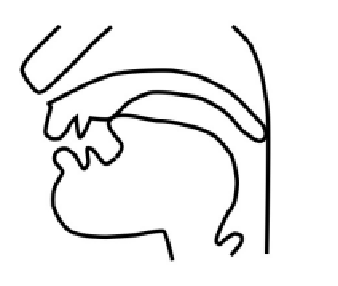 <p>Identify the place of articulation</p>