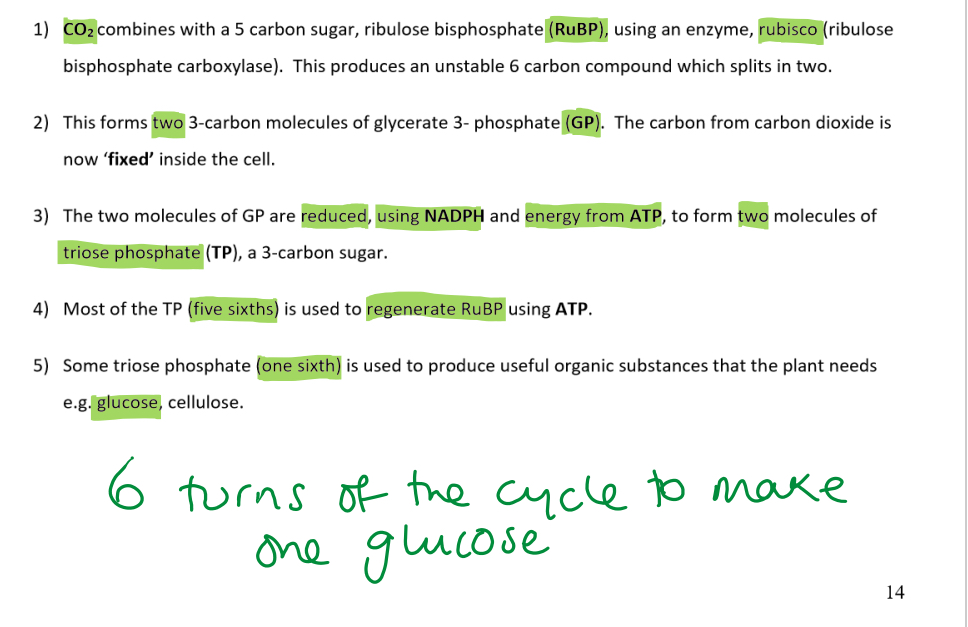knowt flashcard image