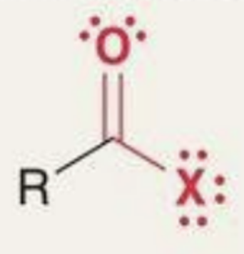 <p>What functional group is this?</p>