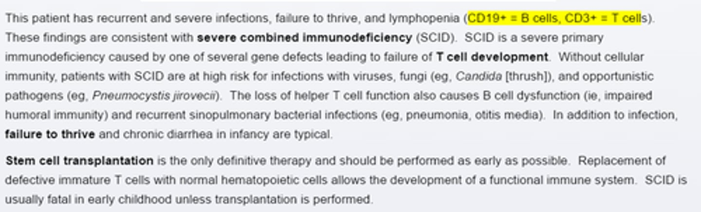 <p>Severe Combine Immunodeficiency (SCID)</p>