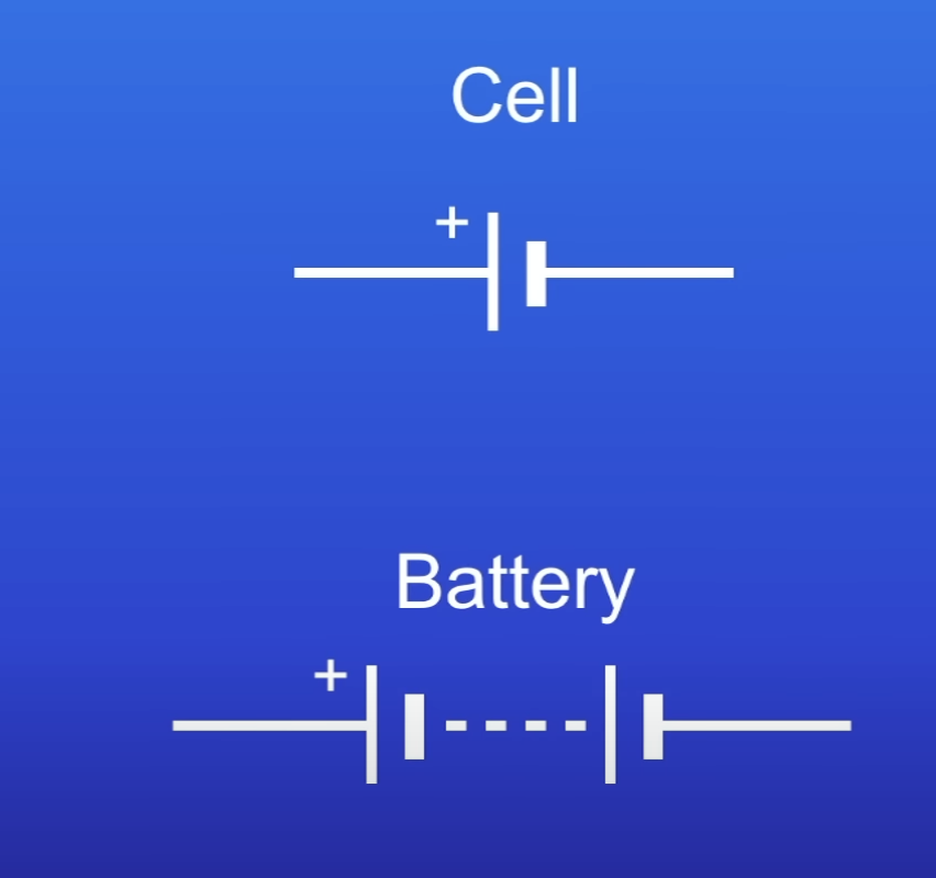 <p>2 or more cells connected tog</p>