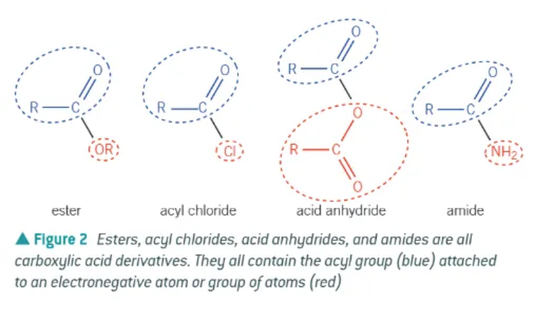 <p>acyl group </p>
