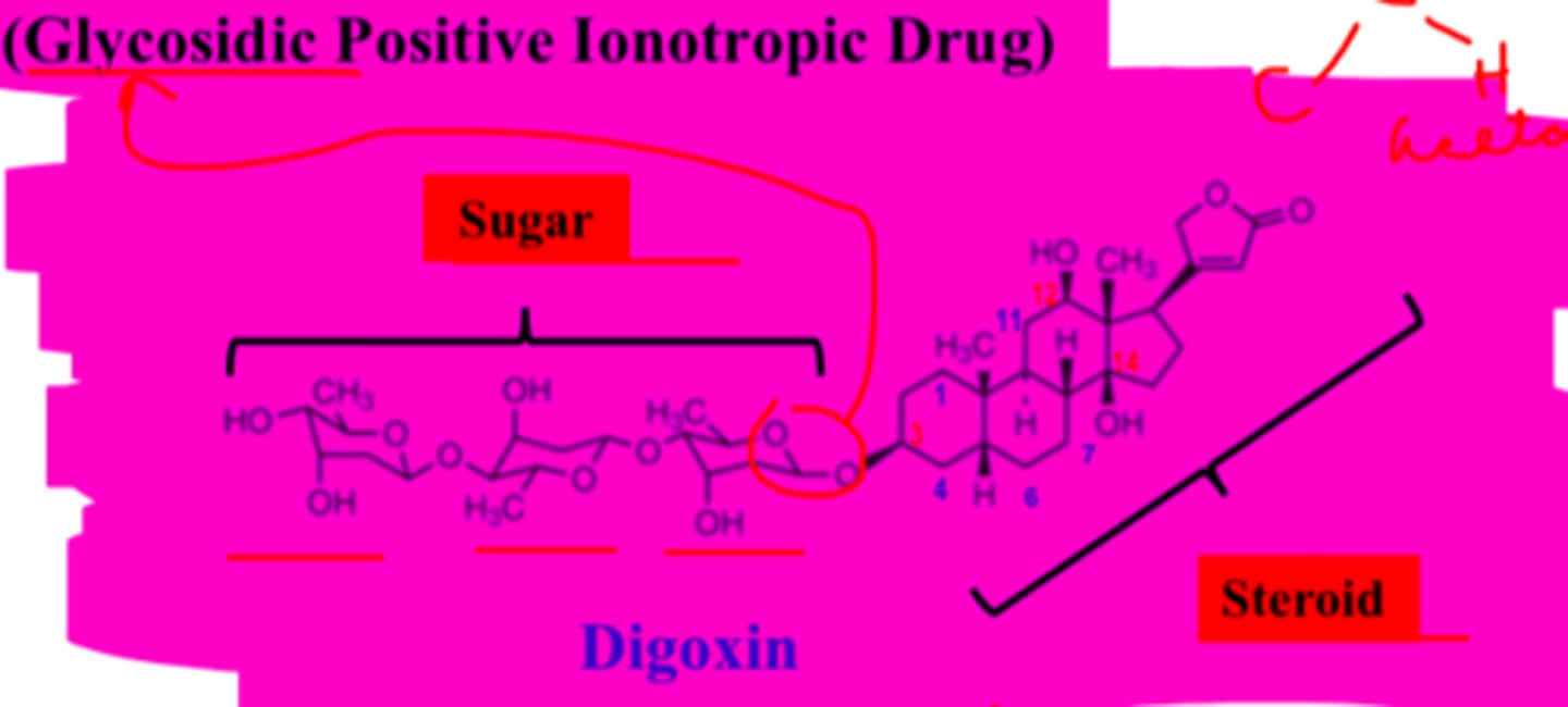 <p>-polysaccharide (sugar) and steroid</p><p>-steroid portion has 3 hydroxyls</p><p>-C3 hydroxyl is conjugated to polysaccharide</p>