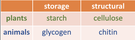 <p>Plants: Cellulose and starch</p><p>Animals: Glycogen and Chitin</p>