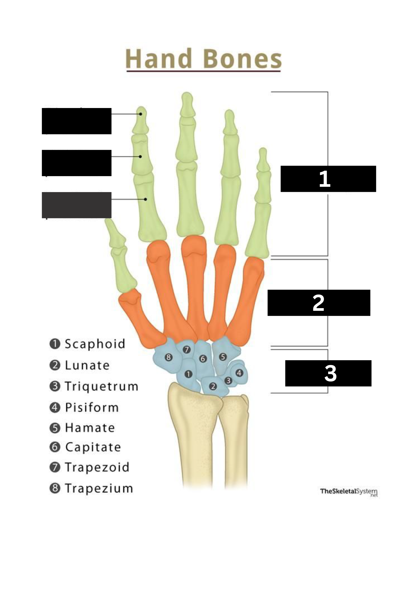 <p>number 3</p>