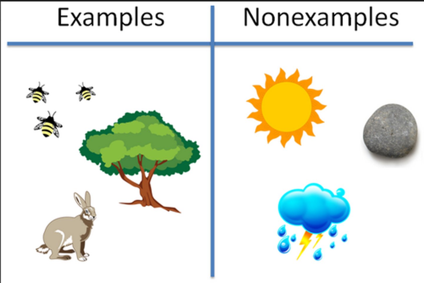 <p>Living components of an ecosystem.</p>