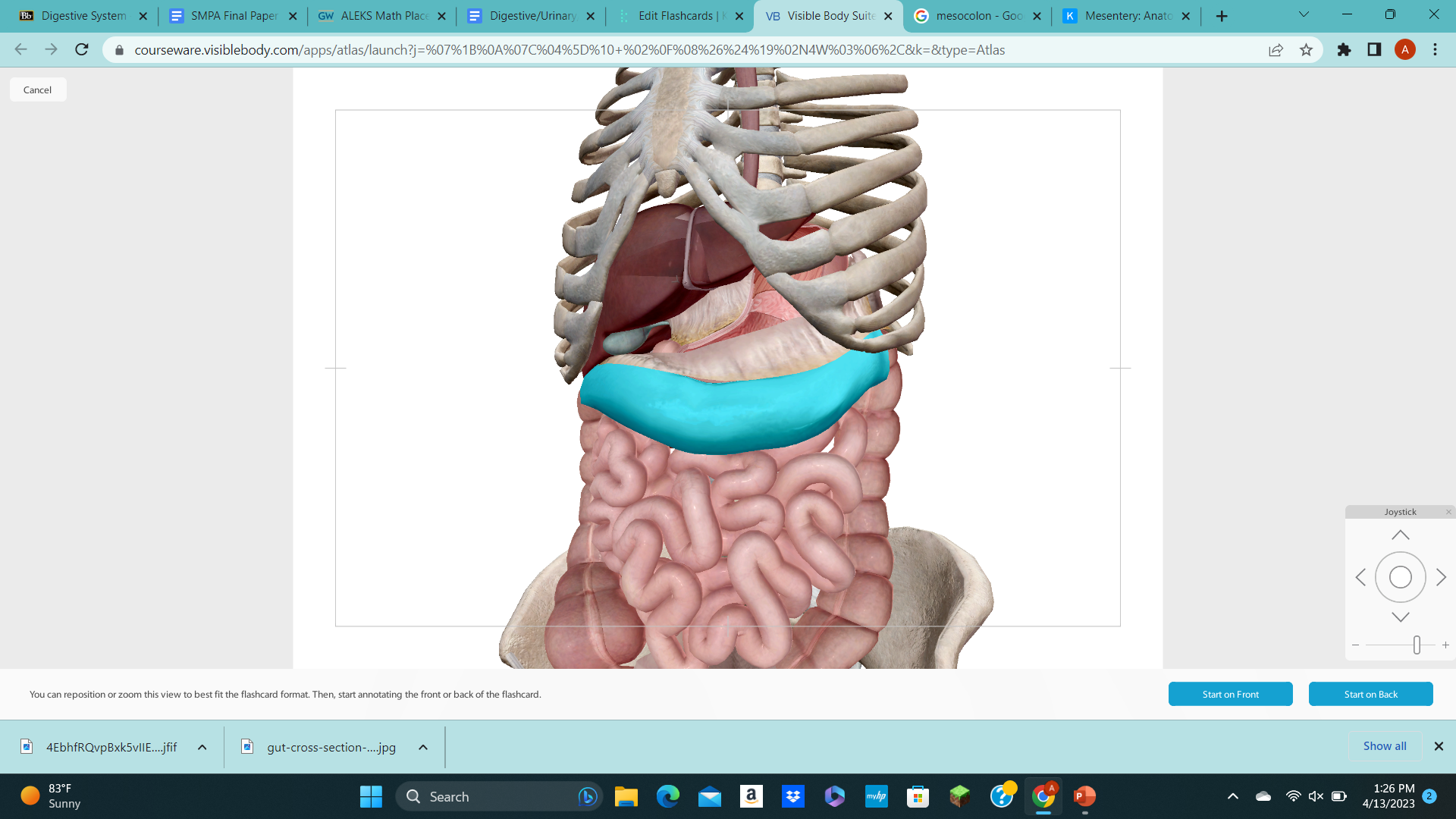 knowt flashcard image
