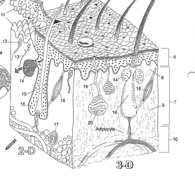 <p>Name region 8</p>