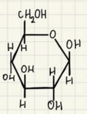<p>C6H12O6 (OH-H)</p>