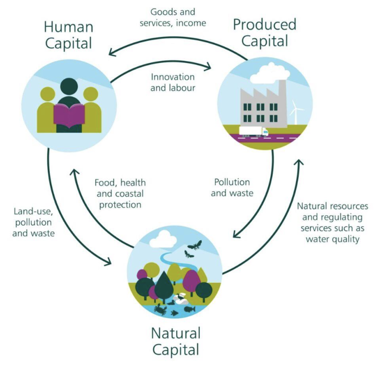 <ul><li><p>Outlines three kinds of capital: Human, Produced, and Natural</p></li></ul><p></p>