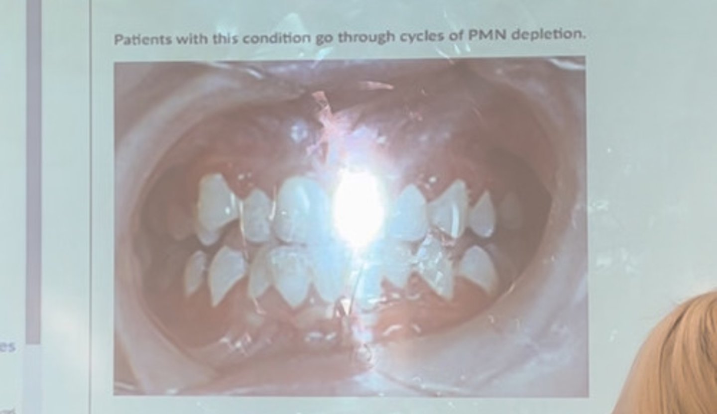 <p>Patients with this go through cycles of PMN depletion</p>