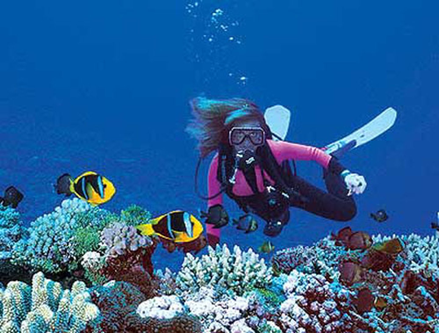 <p>/ˈʌn.dəˌwɔː.tər ˈdaɪ.vɪŋ/ (n) Lặn dưới nước scuba diving</p><p>go underwater diving, enjoy underwater diving</p><p>We went underwater diving in the Maldives.</p>