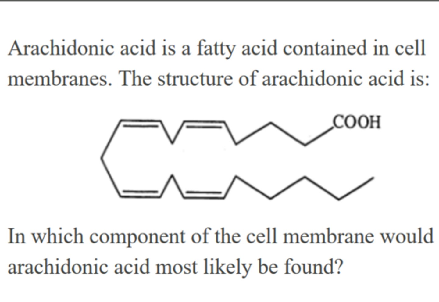 <p>A. Cholesterol</p><p>B. Triglycerides</p><p>C. Phospholipids</p><p>D. Peptidoglycan layer</p>