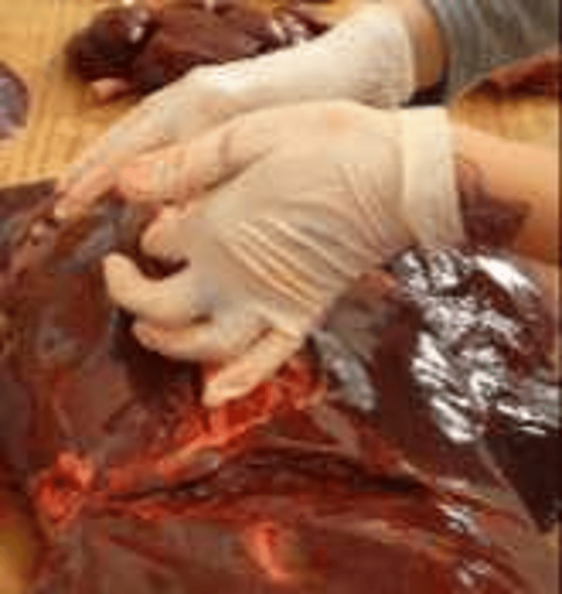 <p>To identify specific abnormal areas, such as tumor cells or hepatic lipidosis.</p>