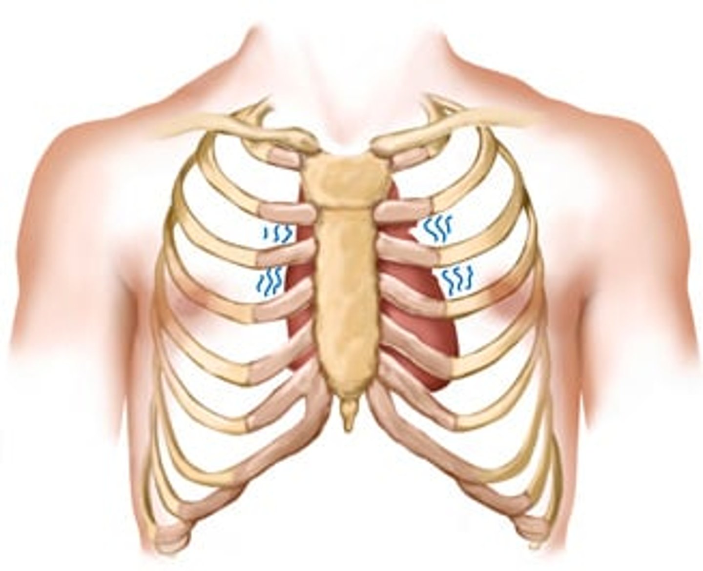 <p>A thrill in the 2nd and 3rd right interspaces occurs with severe aortic stenosis and systemic hypertension.</p><p>A thrill in the 2nd and 3rd left interspaces occurs with pulmonic stenosis and pulmonic hypertension.</p>