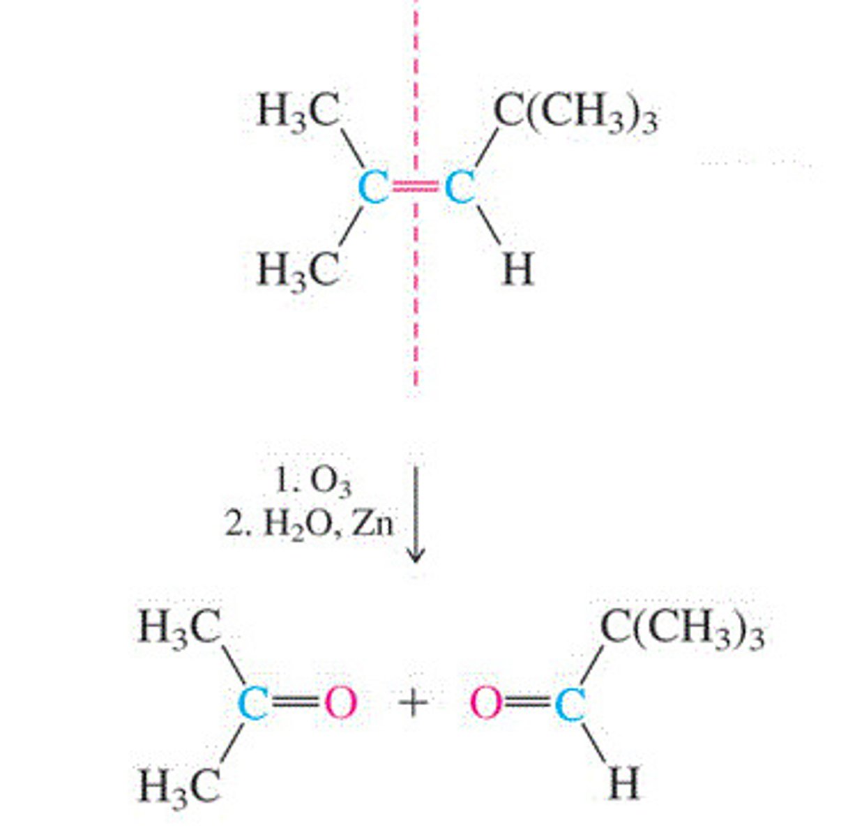 <p>Cleaves the carbon-carbon double bond and leaves two C=O groups in its place</p><p>Forms a ketone and an aldehyde (the aldehyde is only stable if there are no oxidizing agents present)</p>