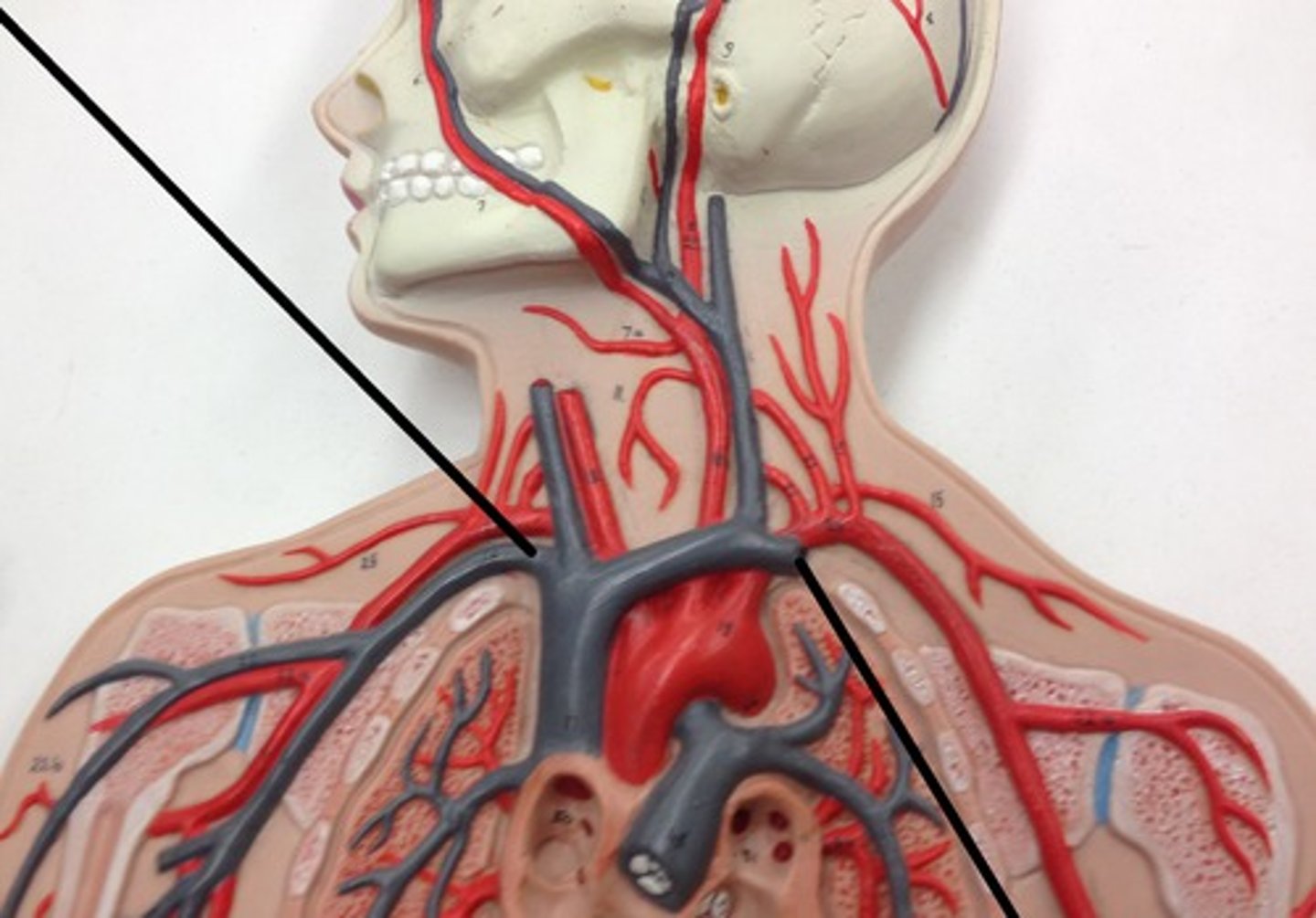 <p>What structure?</p>