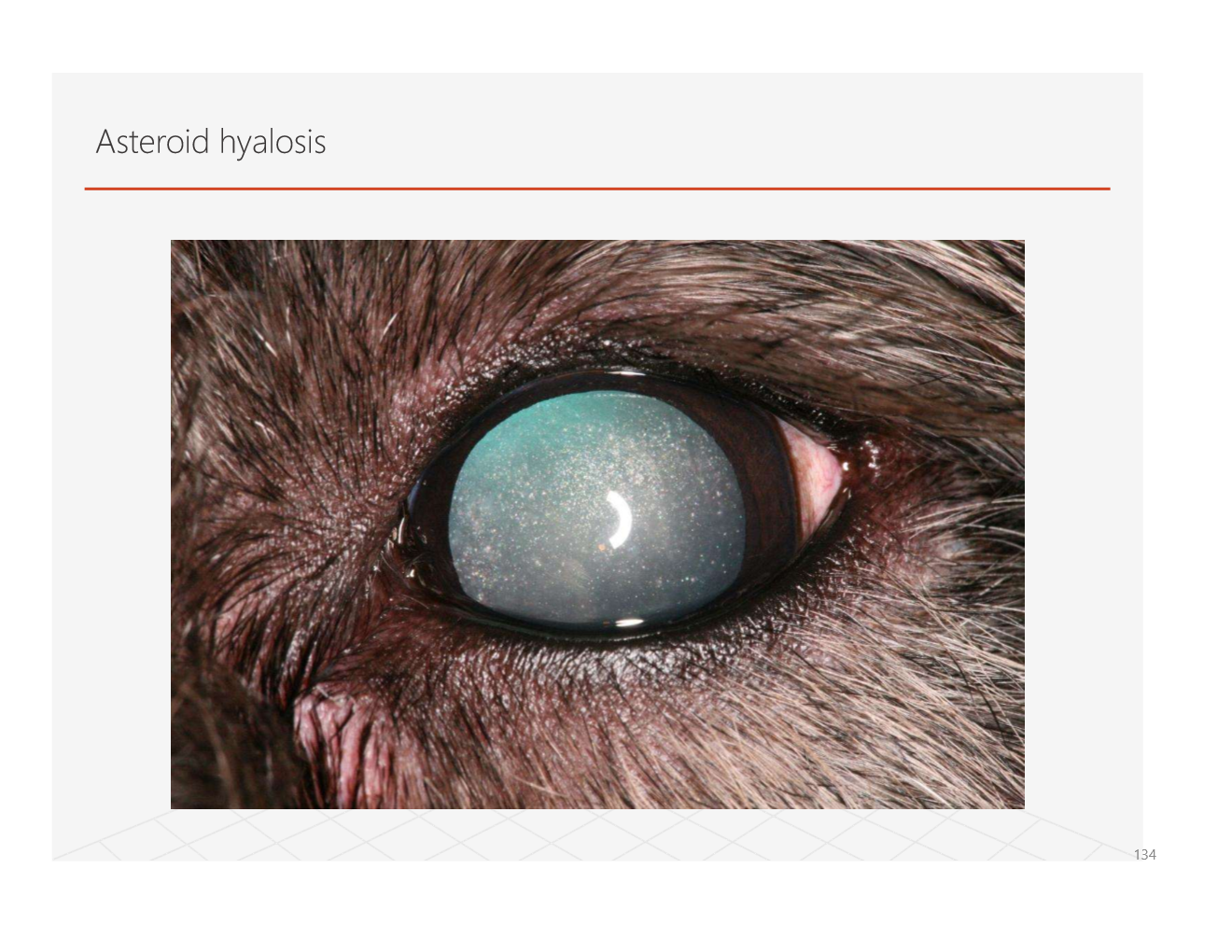 <p>lowk looks kinda pretty ngl</p>