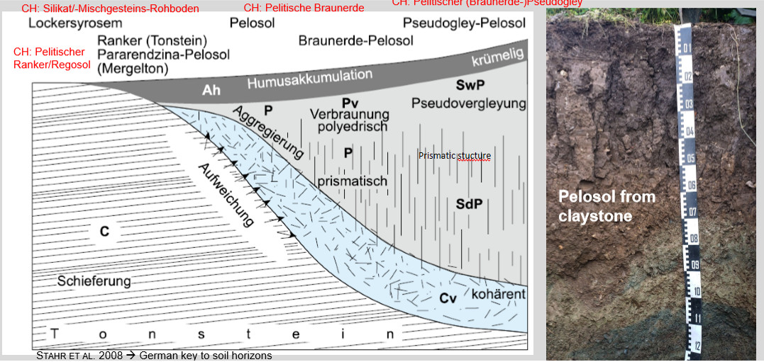 <p>Claystone</p><p>Surface goes up because of swelling of clay</p>