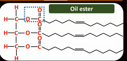 <ul><li><p>Have unsaturated hydrocarbon chains </p></li><li><p>That are not straight, which means the chains cannot pack closely together</p></li><li><p>Lower Vander Waals forces </p></li><li><p>So veg oils have lower melting points and are liquids at room temperature </p></li></ul><p></p>