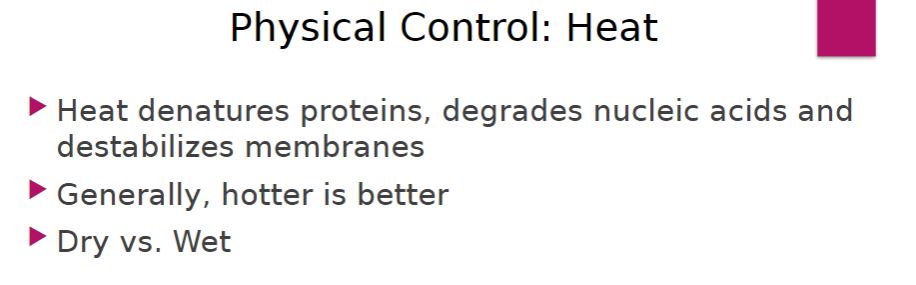 <p>Physical control: heat</p>