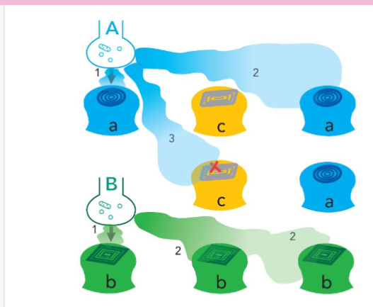 <ul><li><p>chemical message spills over and can reach distant receptors before it is destroyed</p></li><li><p>allows for wider communication beyond a single postsynaptic neuron</p></li><li><p>signal persists until the neurotransmitter is broken down or reabsorbed </p></li></ul><p></p>