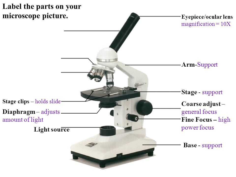 monocular microscope