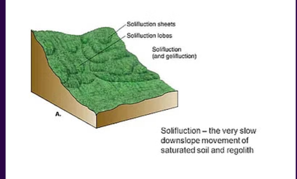 <p><strong>TYPES OF MASS WASTING:</strong></p><p><strong>sluggish flow of saturated soi</strong>l down a slope related to <strong>freeze-thaw activity</strong></p>