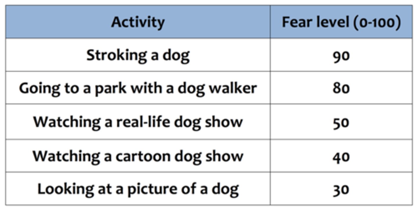 <p>a list of fears arranged from least scary to most scary. </p>