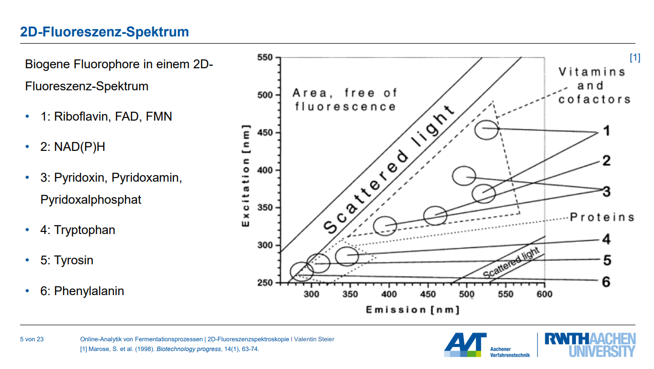 <p><strong>Beschreibung der schraffierten Fläche (Scattered Light Bereich):</strong></p><p>Die schraffierte Fläche in einem Fluoreszenzdiagramm, die als "scattered light" oder "Streulichtbereich" bezeichnet wird, beschreibt das Signal, das nicht von der Fluoreszenz des Moleküls herrührt, sondern von Licht, das im Probenmedium <strong>gestreut</strong> oder <strong>rückgestreut</strong> wird.</p><p>Dies geschieht durch die <strong>Wechselwirkung des Anregungslichts mit Partikeln im Medium</strong>, die das Licht in verschiedene Richtungen ablenken, anstatt es zu absorbieren und wieder zu emittieren.</p><p><strong>Wichtige Merkmale und Implikationen des Streulichts:</strong></p><p>• <strong>Ursprung des Signals:</strong> Gestreutes Licht wird von allen Komponenten verursacht, die Licht streuen können. Dazu gehören insbesondere <strong>Zellen (sowohl lebende als auch tote), Medienkomponenten, feste Partikel</strong> (z.B. aus komplexen Medien wie Fischmehl) und <strong>Gasblasen</strong>. Die <strong>Größe und Form der Partikel</strong> sowie der Messwinkel beeinflussen die Intensität der Streuung.</p><p>• <strong>Mangelnde Selektivität:</strong> Das Streulichtsignal ist <strong>nicht selektiv</strong> für bestimmte Fluorophore. Es kann daher die eigentlichen Fluoreszenzsignale überlagern und die Interpretation der Messdaten erschweren, da es zu <strong>fehlerhaften oder weniger genauen Messungen</strong> führen kann.</p><p>• <strong>Anwendung als Biomasseparameter:</strong> Trotz seiner Eigenschaft als Störgröße in der Fluoreszenzmessung wird das Streulichtsignal (insbesondere die Rückstreuung, "Backscatter") häufig und erfolgreich zur <strong>Online-Messung der Biomassekonzentration</strong> eingesetzt. Dies liegt daran, dass die Intensität des Streulichts proportional zur Zellkonzentration ist.</p>