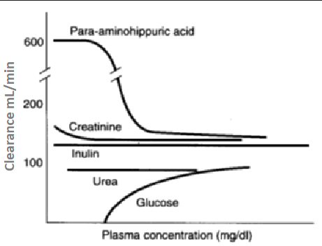 <p>what does this graph describe about the relationship between plasma concentration (mg/dL) and clearance (mL/min) of the following substances?</p>