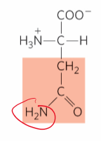 <p>What is this?</p>